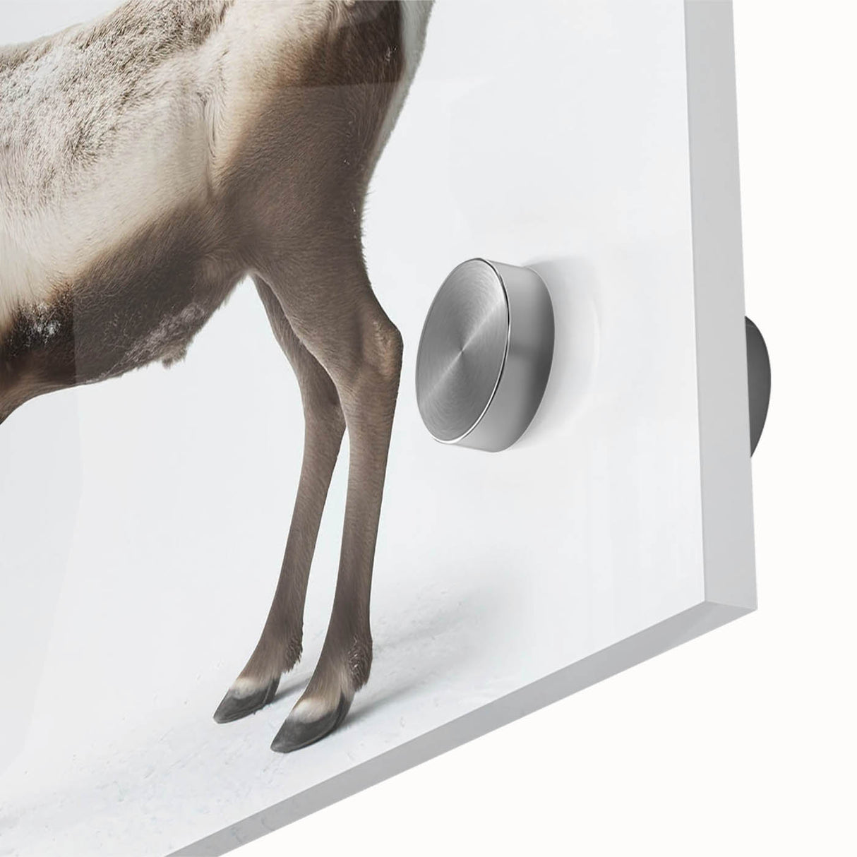 Close-up of a stunning moose and elk acrylic wall art piece, showcasing intricate wildlife details and vibrant colors, perfect for nature-themed decor.