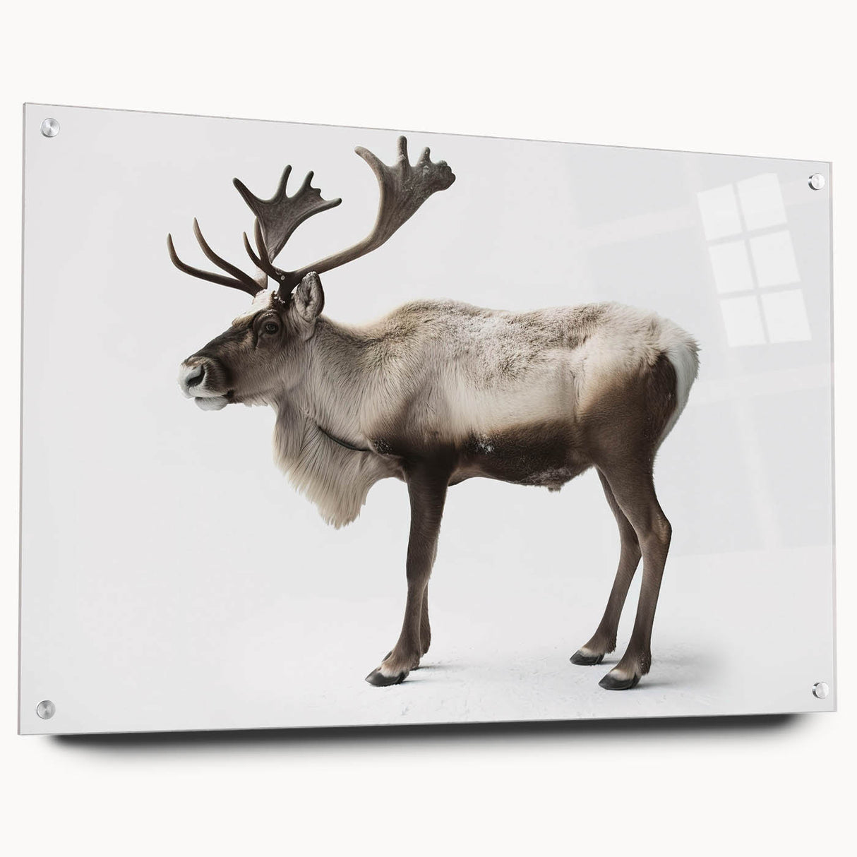 Side view of a moose and elk wall art collection displayed in acrylic glass, featuring intricate wildlife designs and mounted with stylish pins, ideal for nature enthusiasts.
