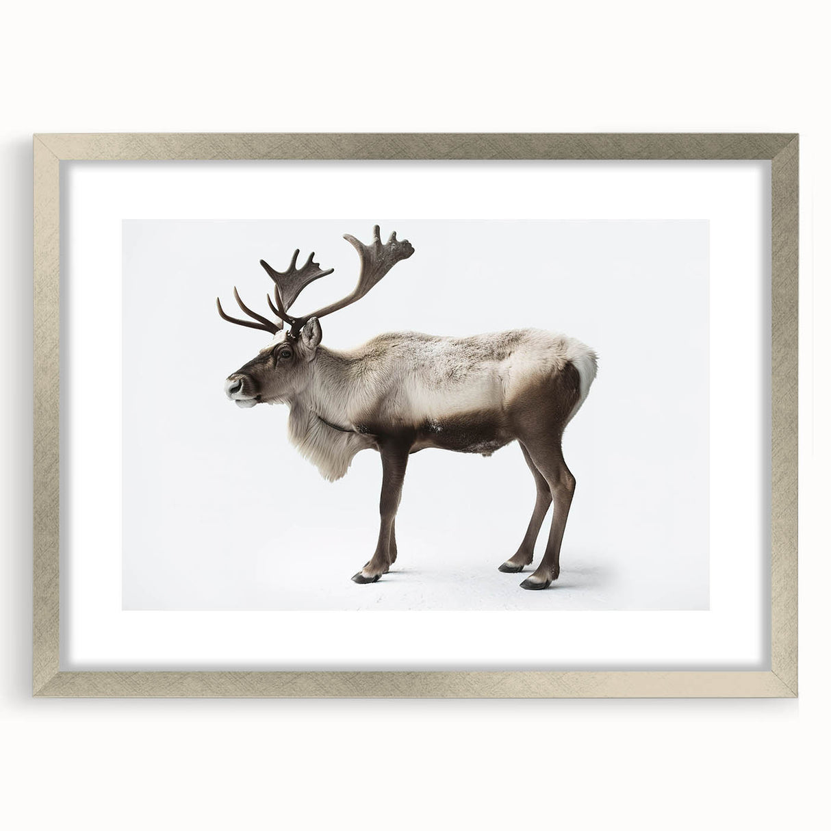 Framed wall art collection showcasing a moose and elk design, featuring a sleek silver frame and matting, ideal for wildlife enthusiasts and home decor.