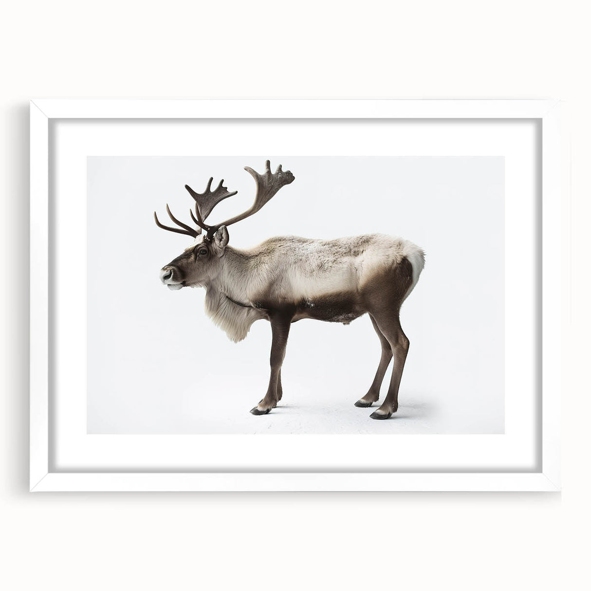 Moose and elk wall art design framed with a white mat, showcasing detailed wildlife illustrations perfect for nature lovers and home decor enthusiasts.