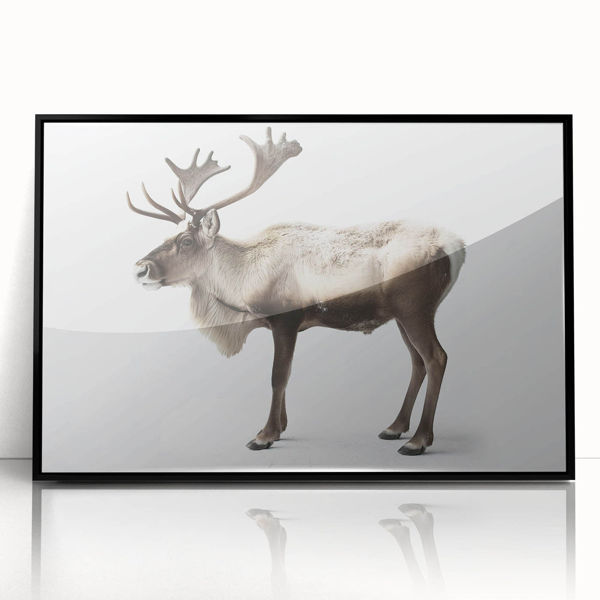 Framed wall art collection showcasing a moose and elk design, featuring a sleek black frame and acrylic front, ideal for wildlife-themed decor.