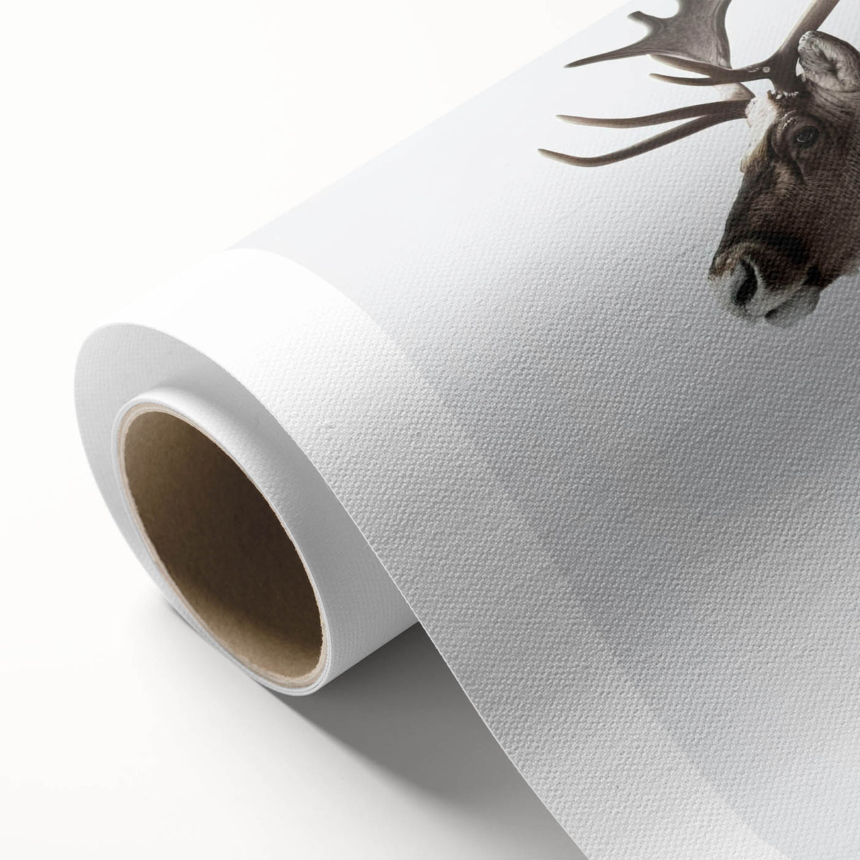 Moose and elk design wall art collection on rolled canvas, showcasing detailed wildlife illustrations in earthy tones, perfect for nature-themed decor.