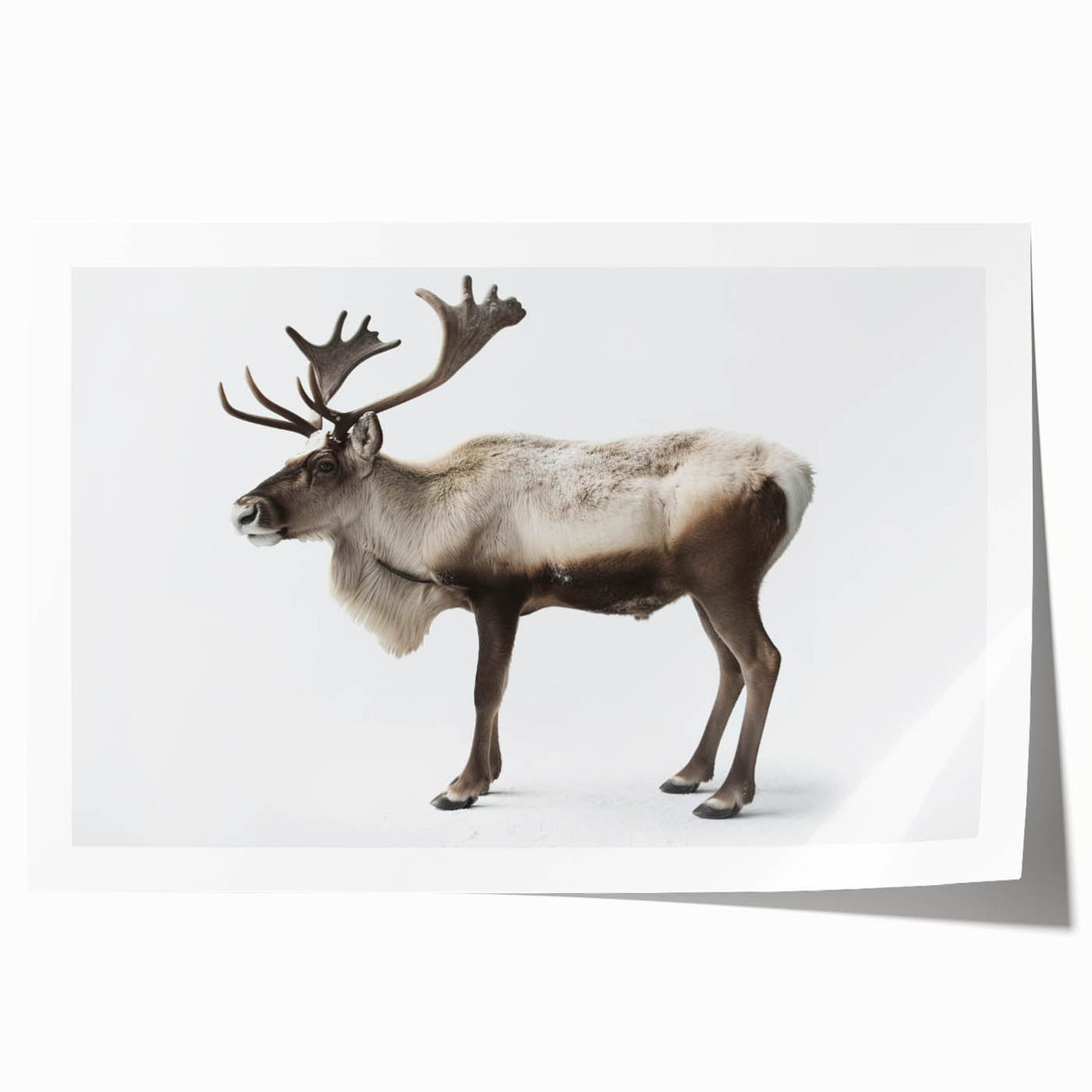 Moose and elk wildlife wall art print showcasing intricate designs in earthy tones, rolled for easy display, highlighting nature's beauty in a modern setting.
