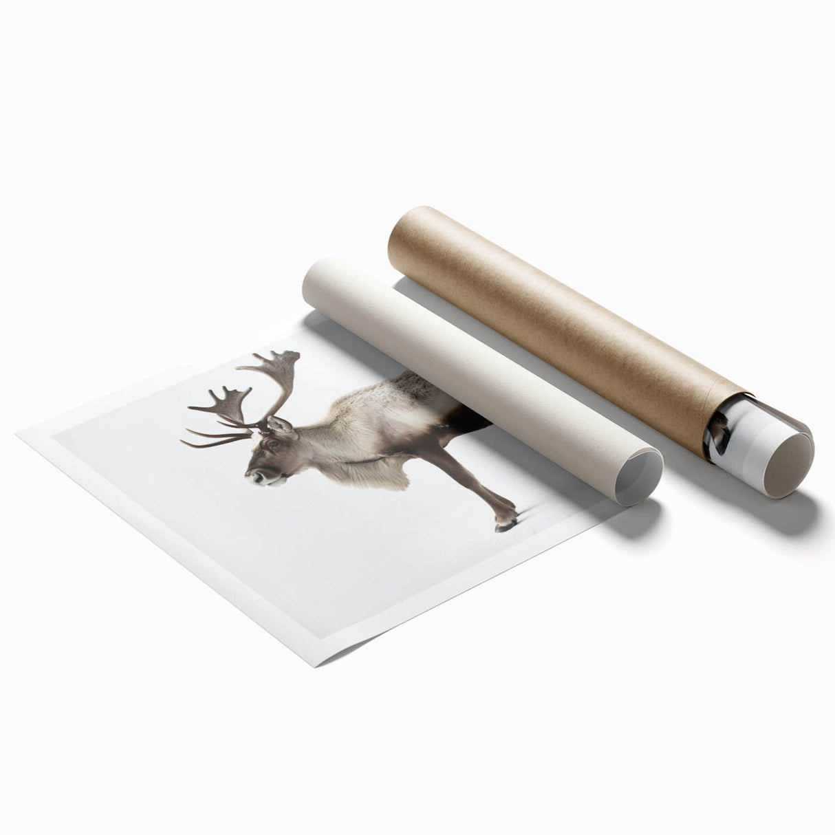 Moose and elk wall art collection print showcasing detailed wildlife illustrations in earthy tones, rolled and ready for framing. Ideal for nature enthusiasts.