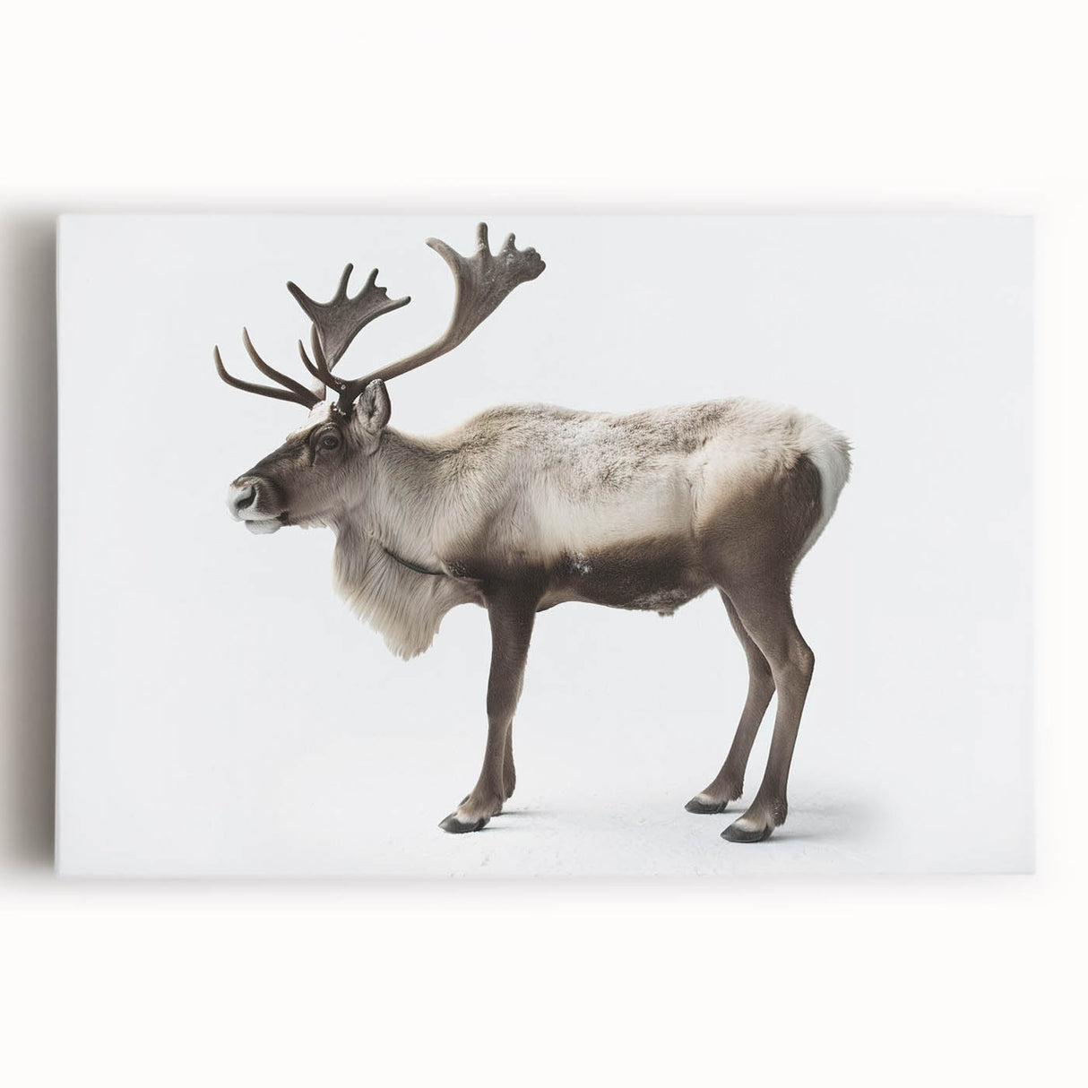 Moose and elk wall art collection on stretched canvas, showcasing a vibrant forest scene with rich greens and browns, perfect for nature enthusiasts' decor.