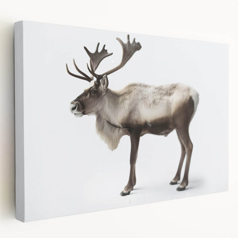 Side view of a stretched canvas wall art featuring a moose and elk design, showcasing intricate wildlife details and natural colors, perfect for nature enthusiasts.