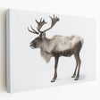 Side view of a stretched canvas wall art featuring a moose and elk design, showcasing intricate wildlife details and natural colors, perfect for nature enthusiasts.
