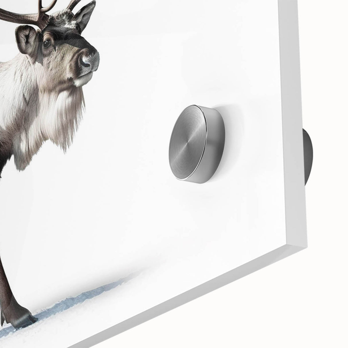 Close-up of an acrylic wall art design showcasing a moose and elk in a vibrant wildlife setting, highlighting intricate details and rich colors for nature enthusiasts.