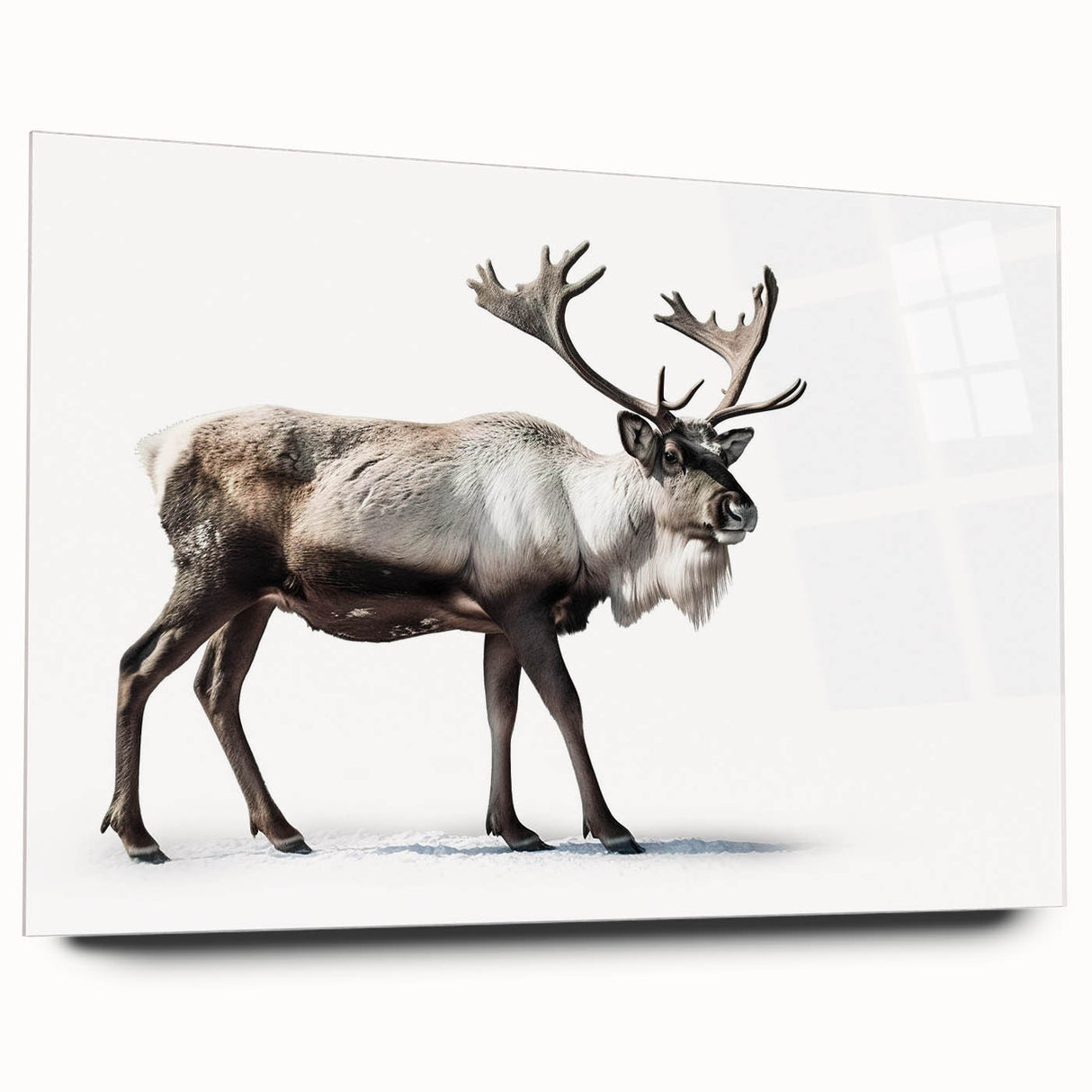Moose and elk wall art design on acrylic glass, showcasing a side view of wildlife in a natural setting, perfect for nature enthusiasts and modern decor.
