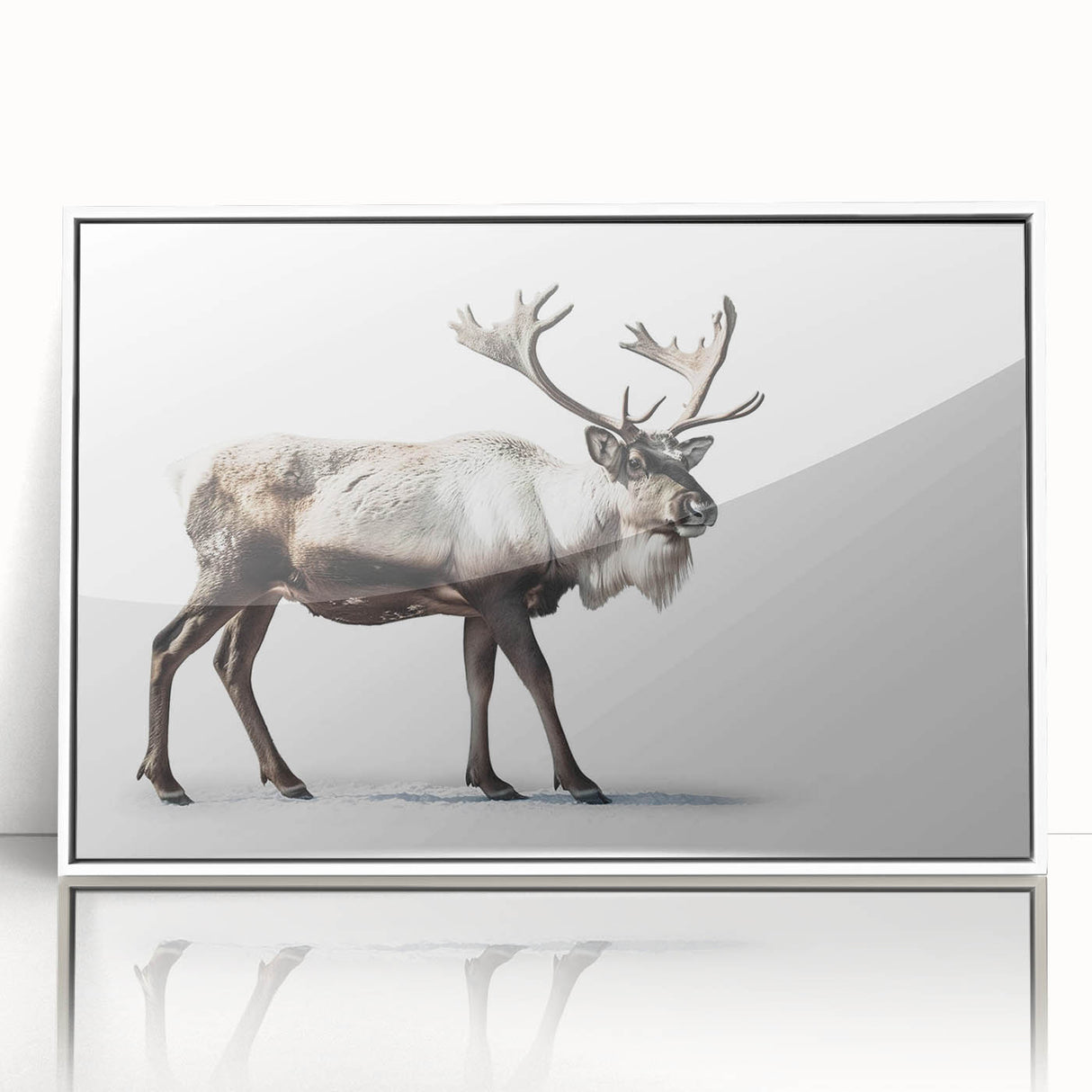Framed wall art collection showcasing a moose and elk design in a white acrylic frame, perfect for wildlife enthusiasts and nature-inspired decor.