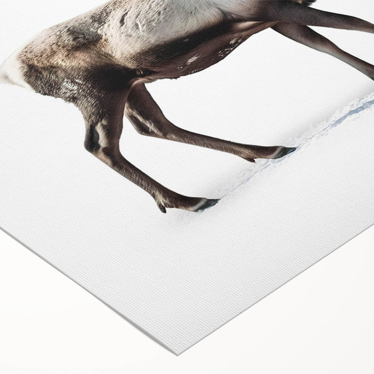Rolled canvas art showcasing a moose and elk design, featuring realistic wildlife details and earthy tones, perfect for enhancing natural-themed decor.