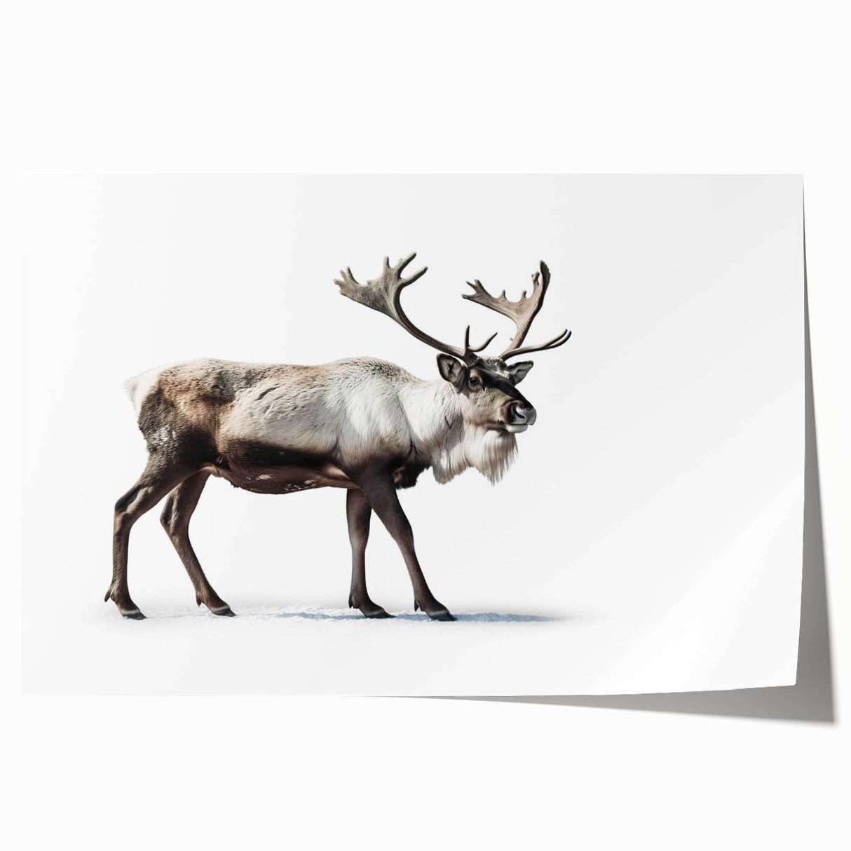 Moose and elk wildlife wall art print showcasing detailed illustrations of these majestic animals in a natural setting, perfect for nature enthusiasts' decor.