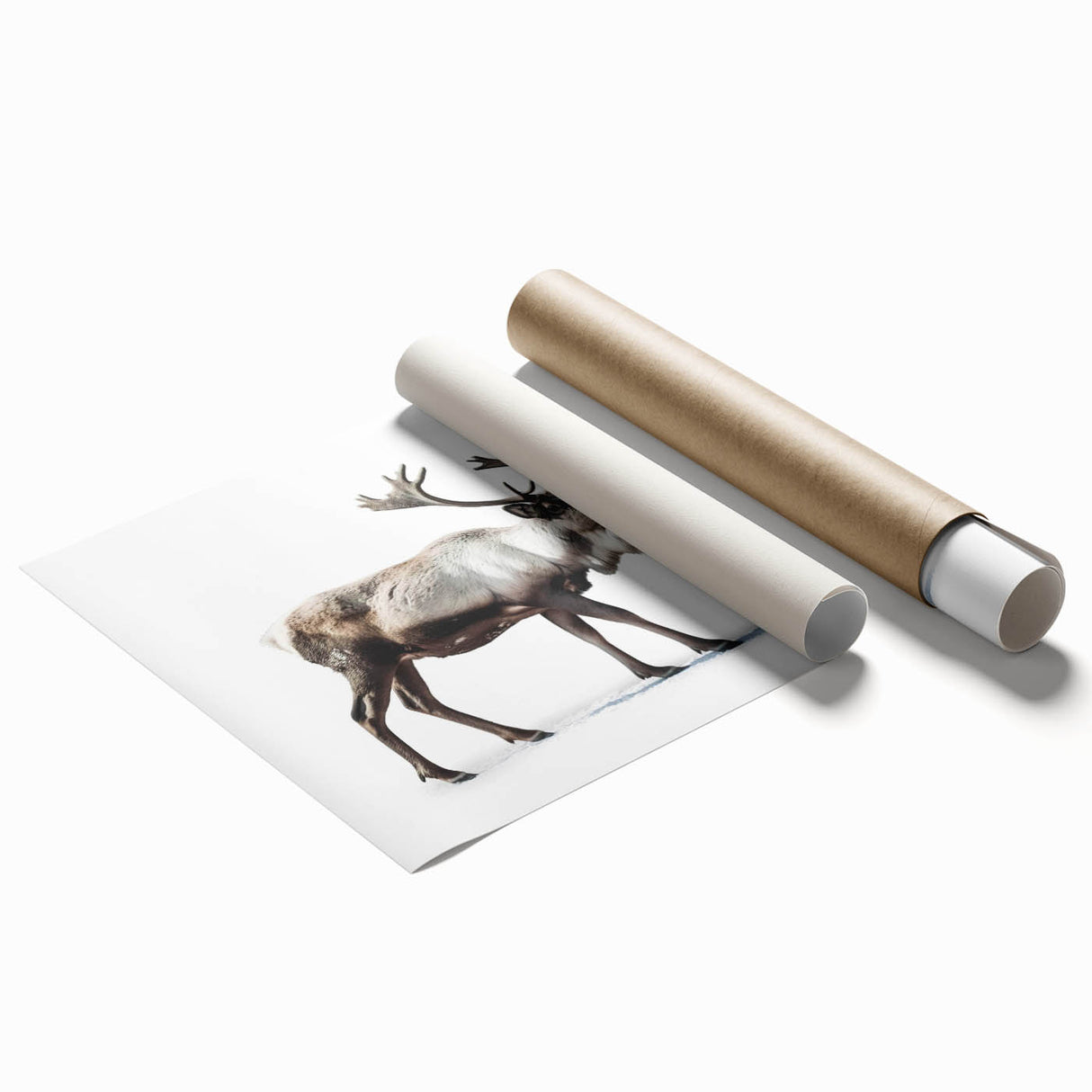 Moose and elk wall art design printed on high-quality canvas, showcasing a natural wilderness scene with rich colors, perfect for nature-themed home decor.