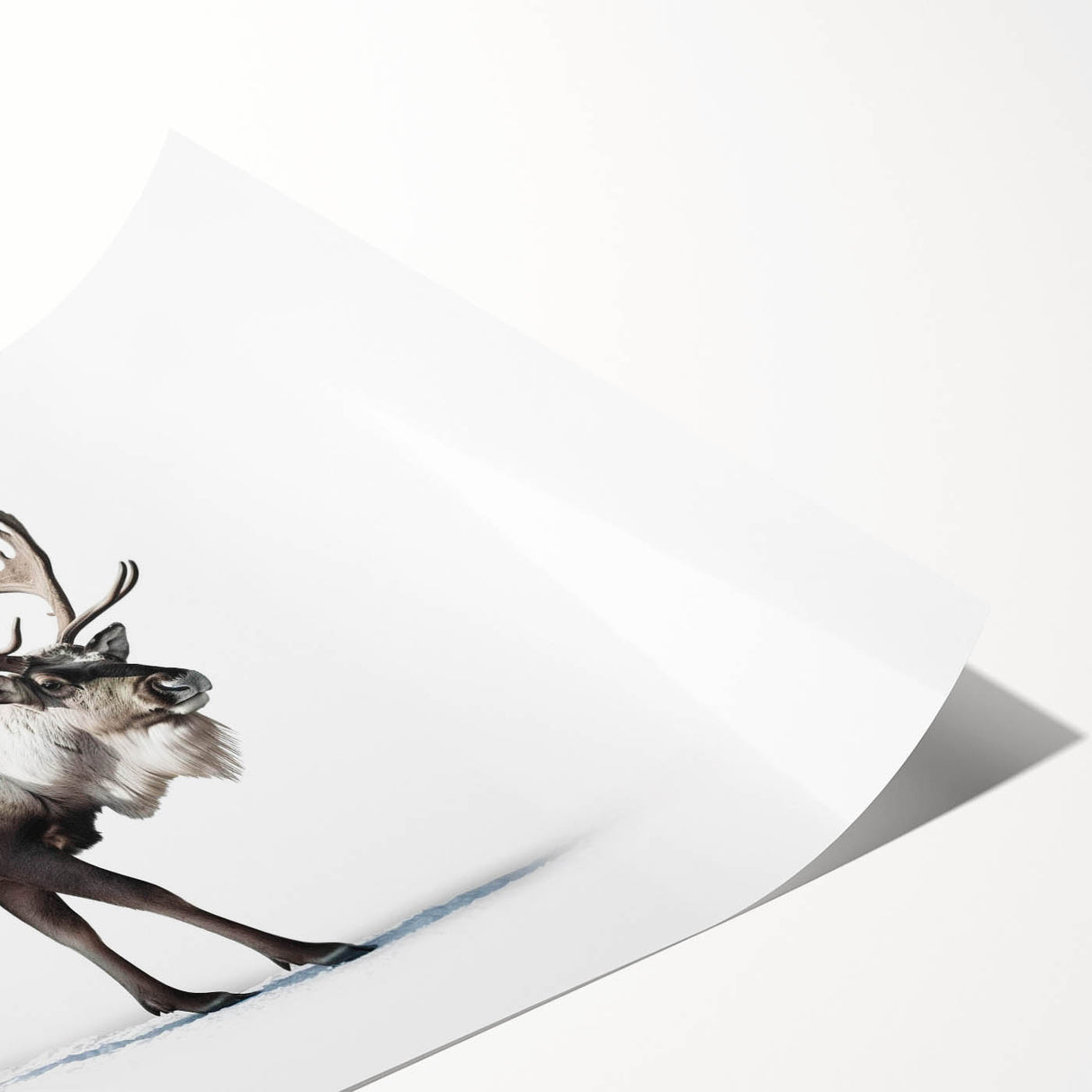 Moose and elk wall art collection depicting wildlife in natural settings, showcasing rich colors and detailed illustrations, perfect for nature enthusiasts and home decor.