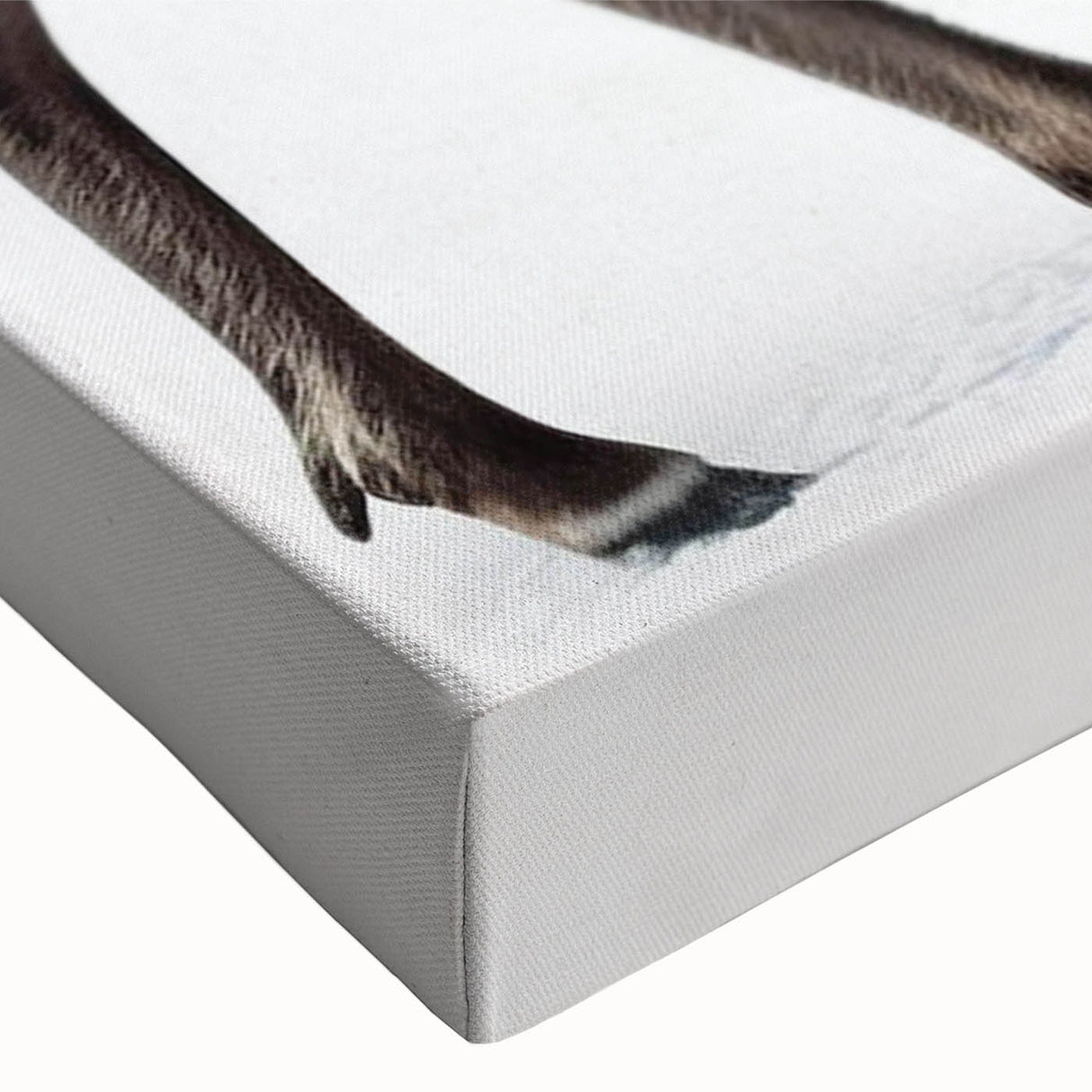 Close-up of a vibrant moose and elk design stretched canvas wall art collection, showcasing detailed wildlife imagery with natural colors and textures, perfect for nature enthusiasts.