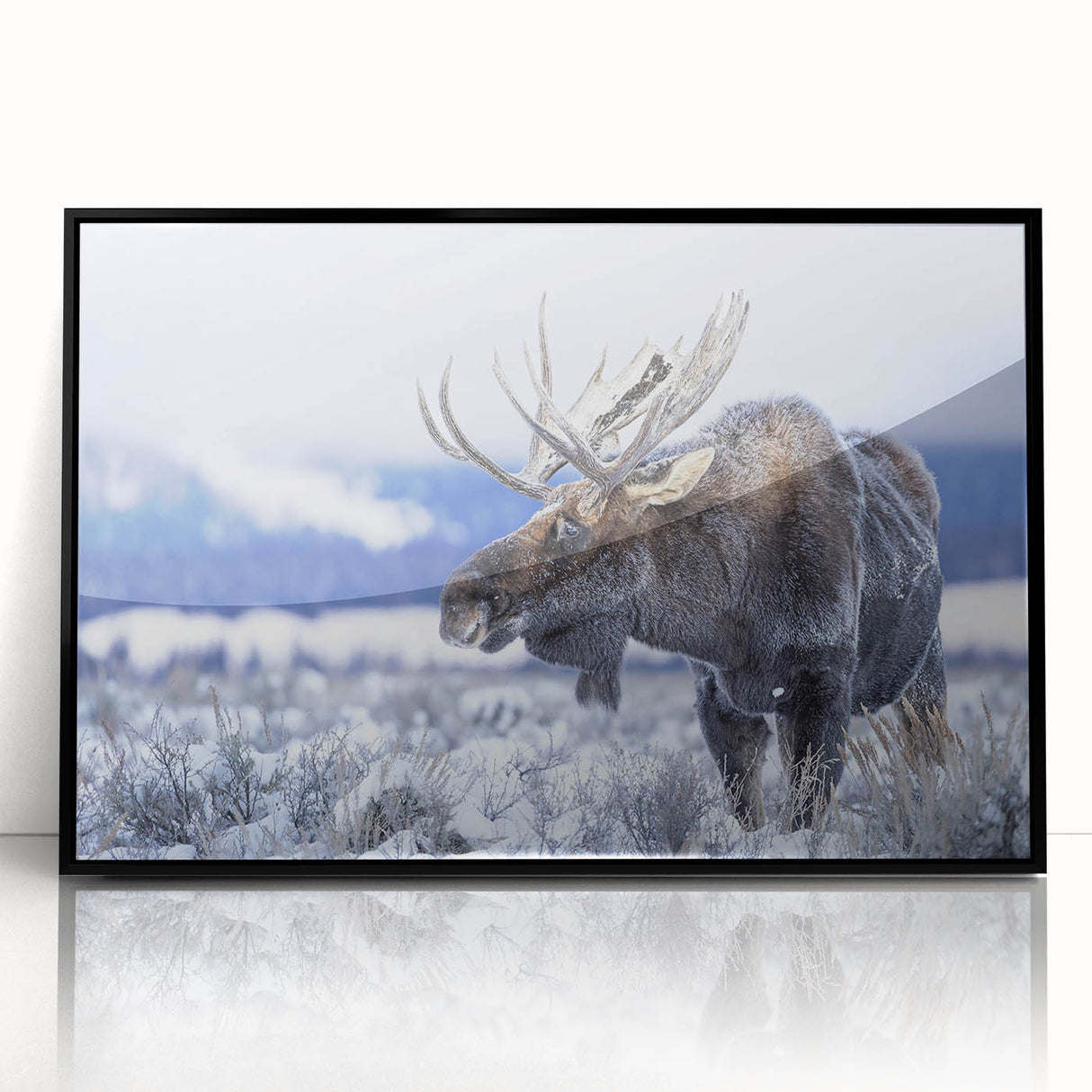 Framed wall art featuring a moose and elk design, showcasing detailed wildlife illustrations on a black background, perfect for nature enthusiasts' decor.
