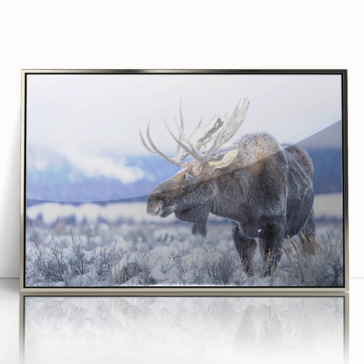 Framed acrylic wall art featuring a moose and elk design, set against a silver background, perfect for enhancing rustic home decor and wildlife themes.