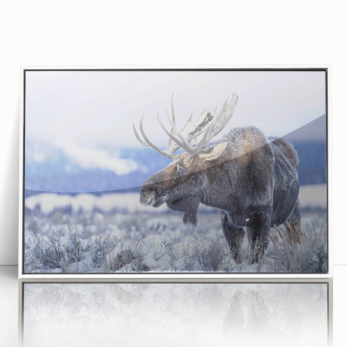 Framed wall art featuring a moose and elk design, showcasing intricate wildlife details in a white frame, perfect for nature enthusiasts' decor.