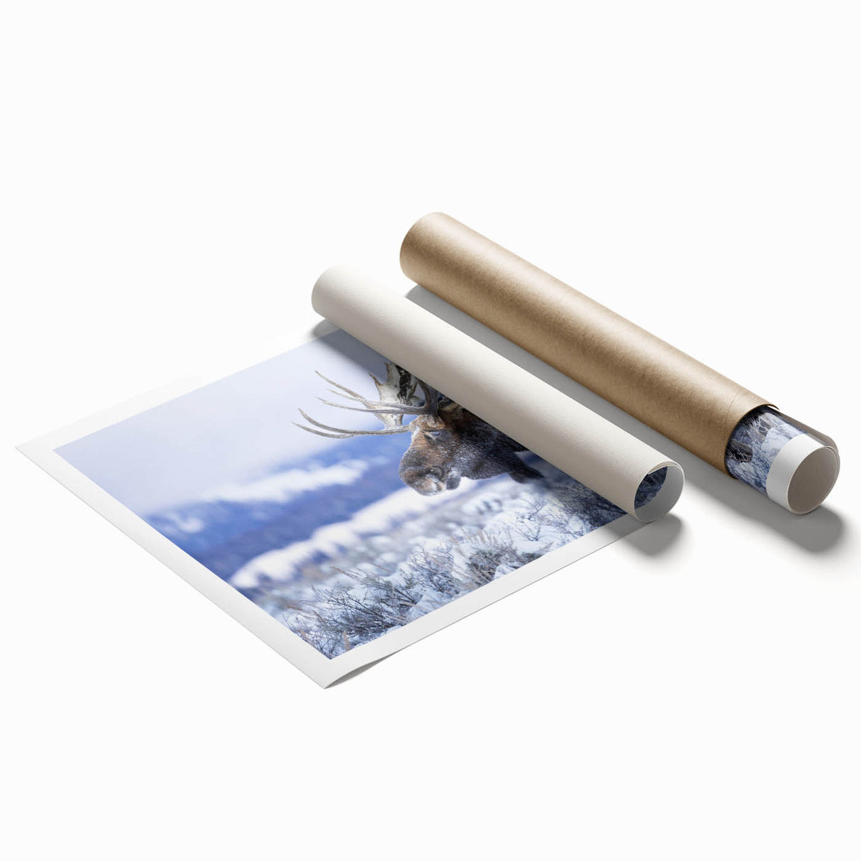 Moose and elk wall art design in a rolled print, showcasing intricate wildlife illustrations with earthy tones, perfect for nature-themed decor.