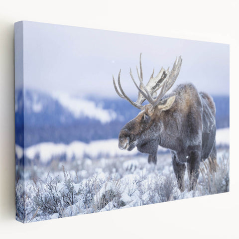 Side view of a stretched canvas wall art featuring a moose and elk design, showcasing vibrant colors and intricate details, perfect for wildlife enthusiasts.