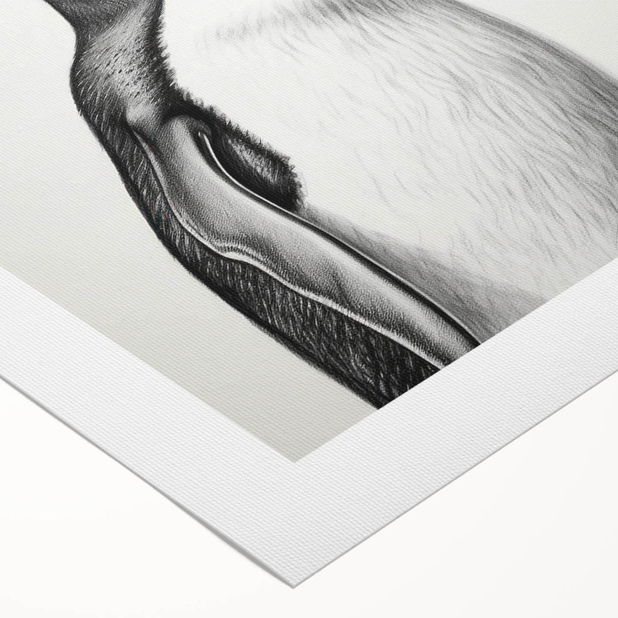 Rolled canvas wall art featuring a vibrant penguin design, showcasing detailed textures and colors, perfect for animal lovers and home decor enthusiasts.