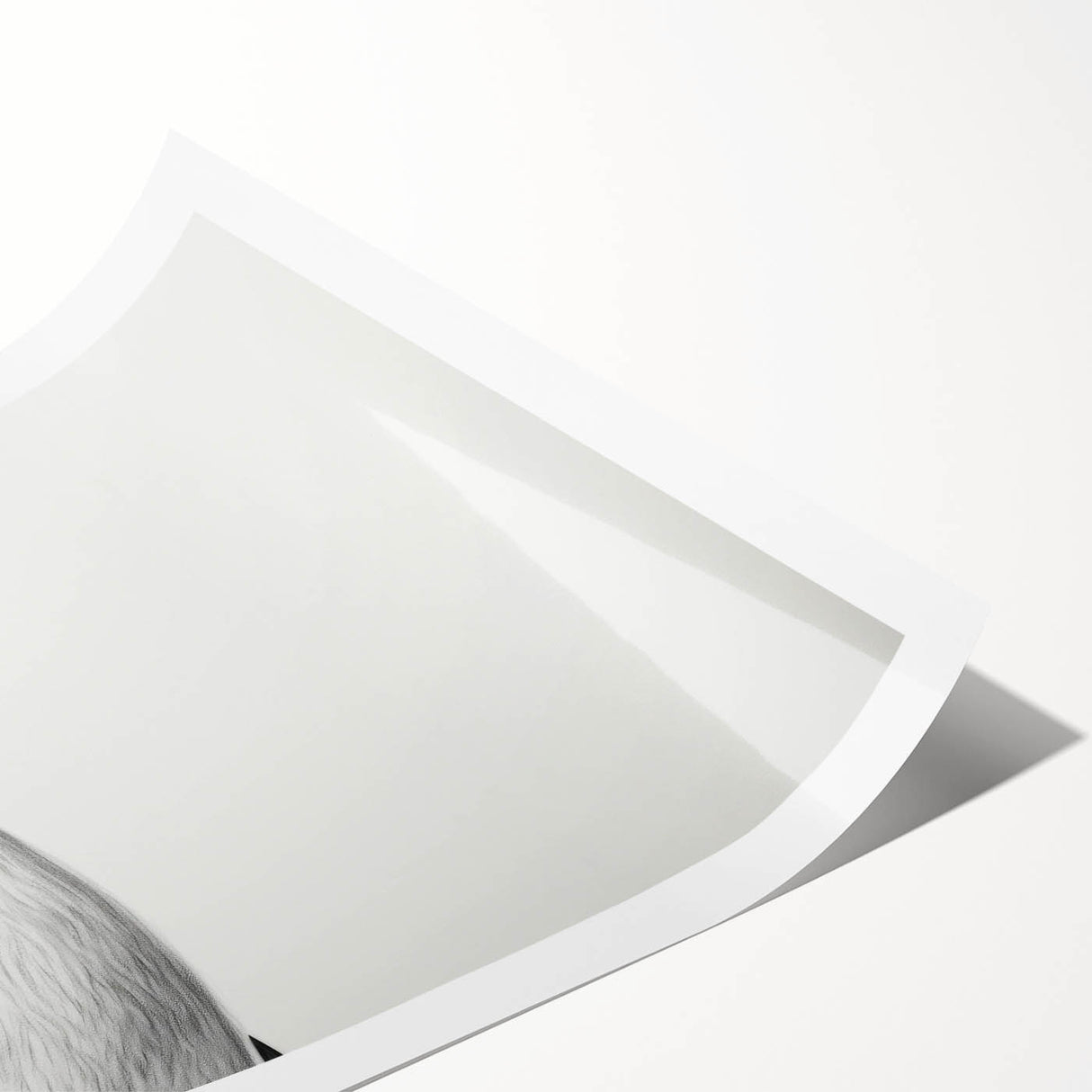 Penguin wall art print showcasing a vibrant and playful design, featuring intricate details and textures, perfect for animal lovers and home decor enthusiasts.