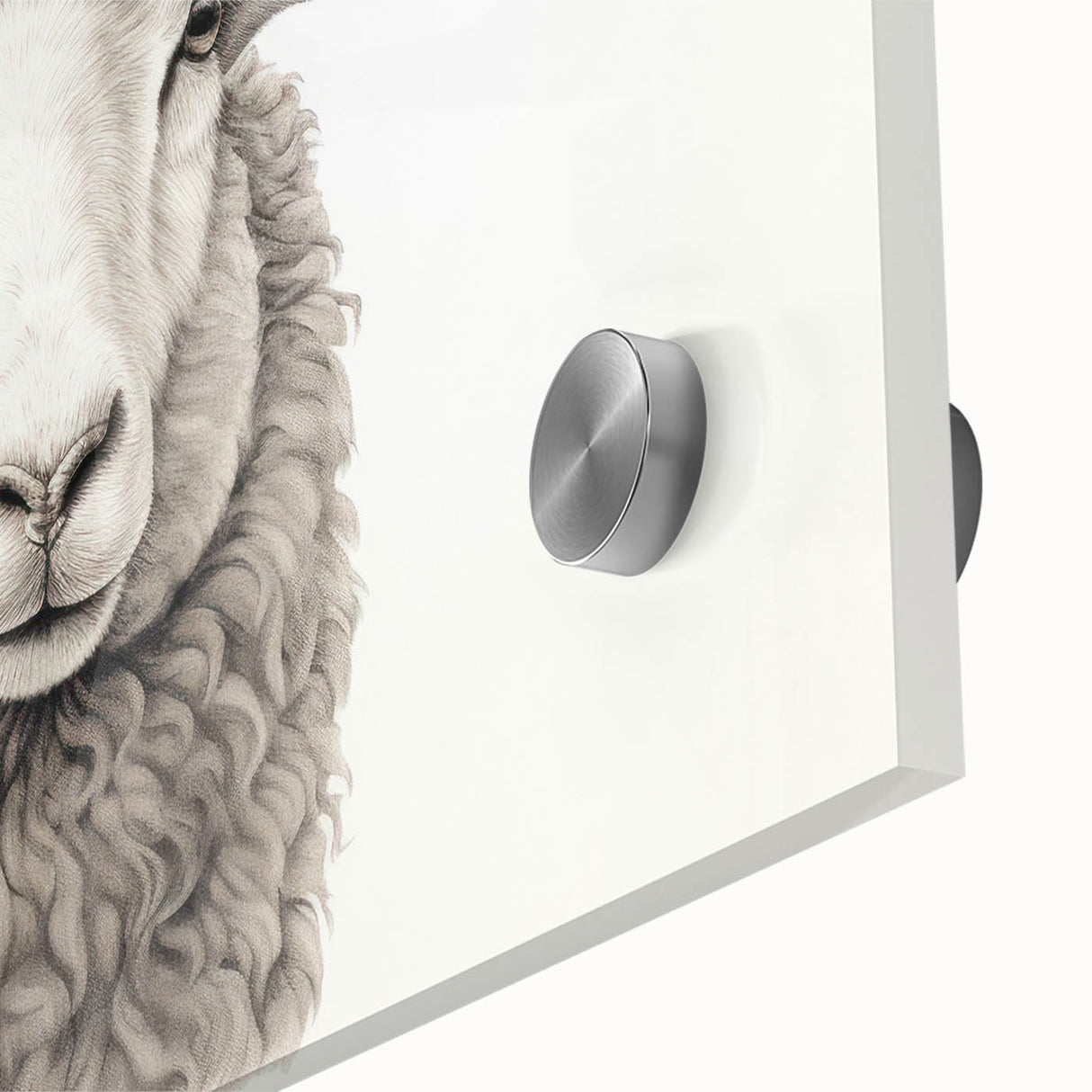 Close-up of a vibrant acrylic glass wall art piece featuring a detailed sheep design from the 'Animals of the Wild' collection, showcasing intricate textures and colors that enhance any decor.