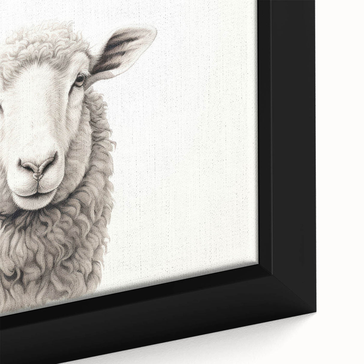 Close-up of a framed canvas wall art featuring a detailed sheep design from the "Animals of the Wild" collection, showcasing intricate textures and vibrant colors. This artwork adds a unique touch to home decor, appealing to nature and animal lovers alike.