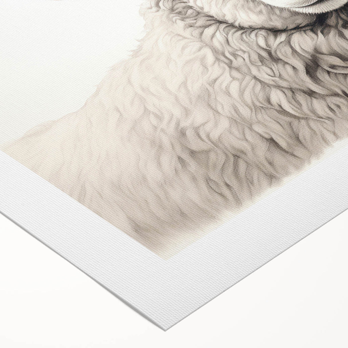 Rolled canvas wall art showcasing a vibrant sheep design from the "Animals a Wild Life" collection, ideal for adding a whimsical touch to any room's decor.