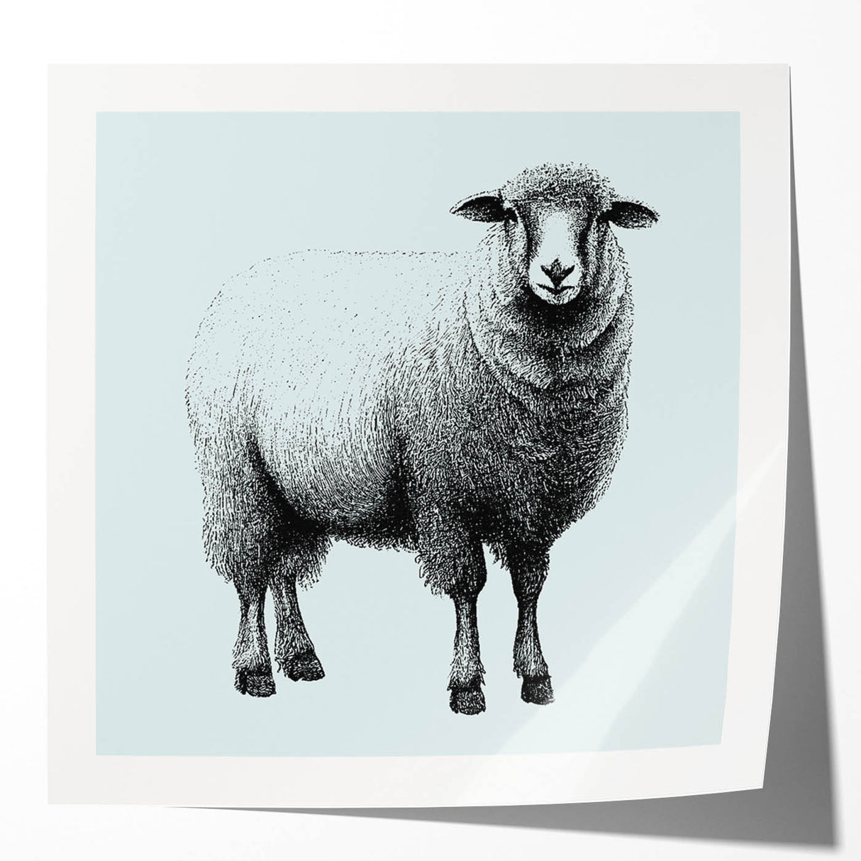 Close-up of a glossy wall art print featuring a serene sheep design, showcasing intricate details and vibrant colors, perfect for home decor enthusiasts. This artwork adds a touch of rustic charm and tranquility to any space, making it an ideal choice for animal lovers and art collectors alike.