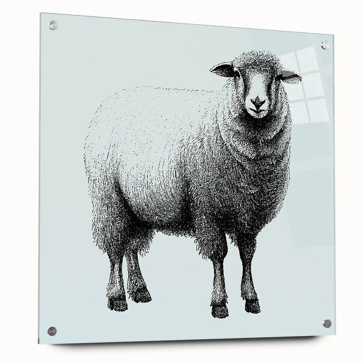 Acrylic glass wall art showcasing a detailed sheep design from the "Animals A Wild Life" collection, highlighting vibrant colors and intricate textures, perfect for animal lovers.