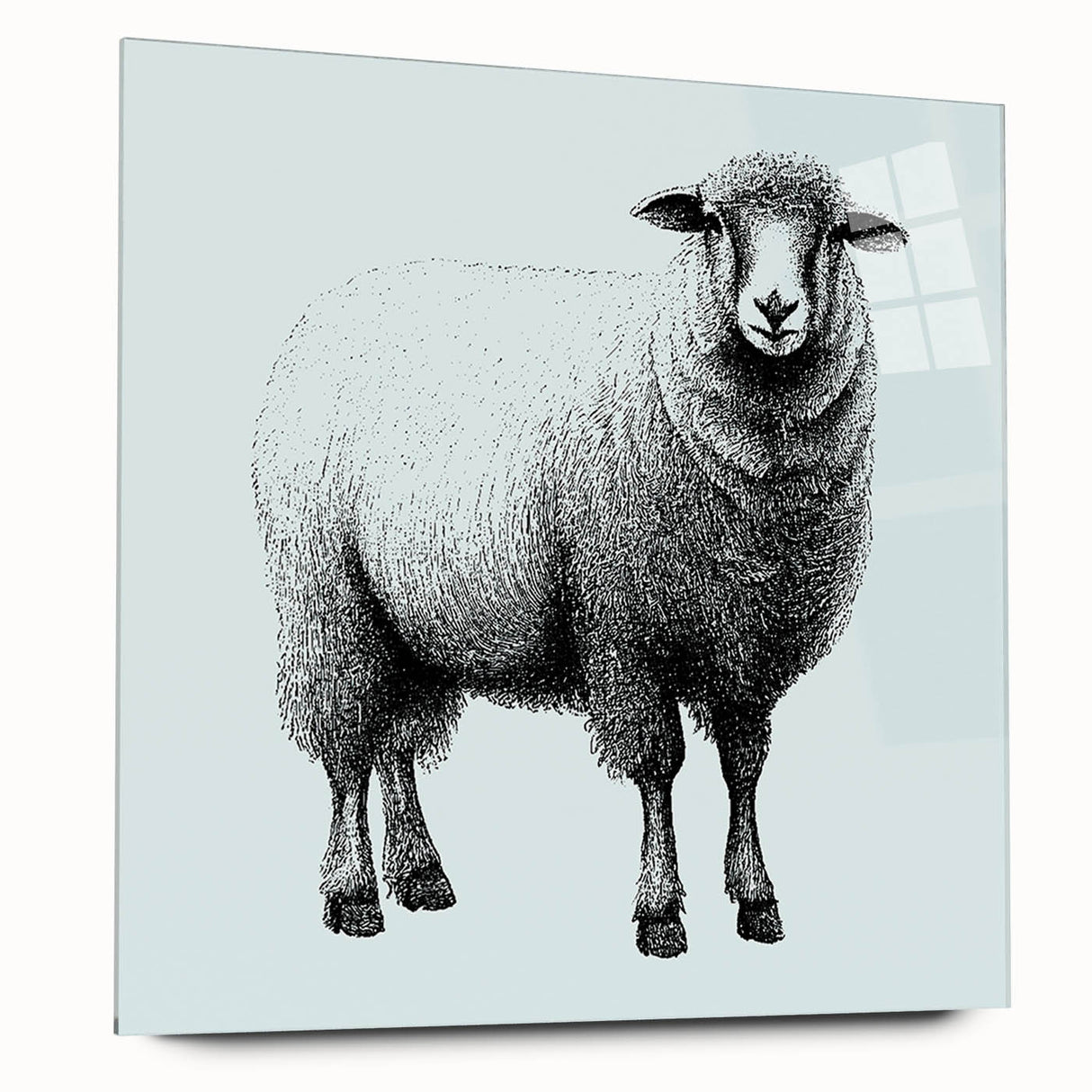 Acrylic wall art collection showcasing a side view of a sheep design, featuring vibrant colors and intricate details, perfect for nature-themed decor.