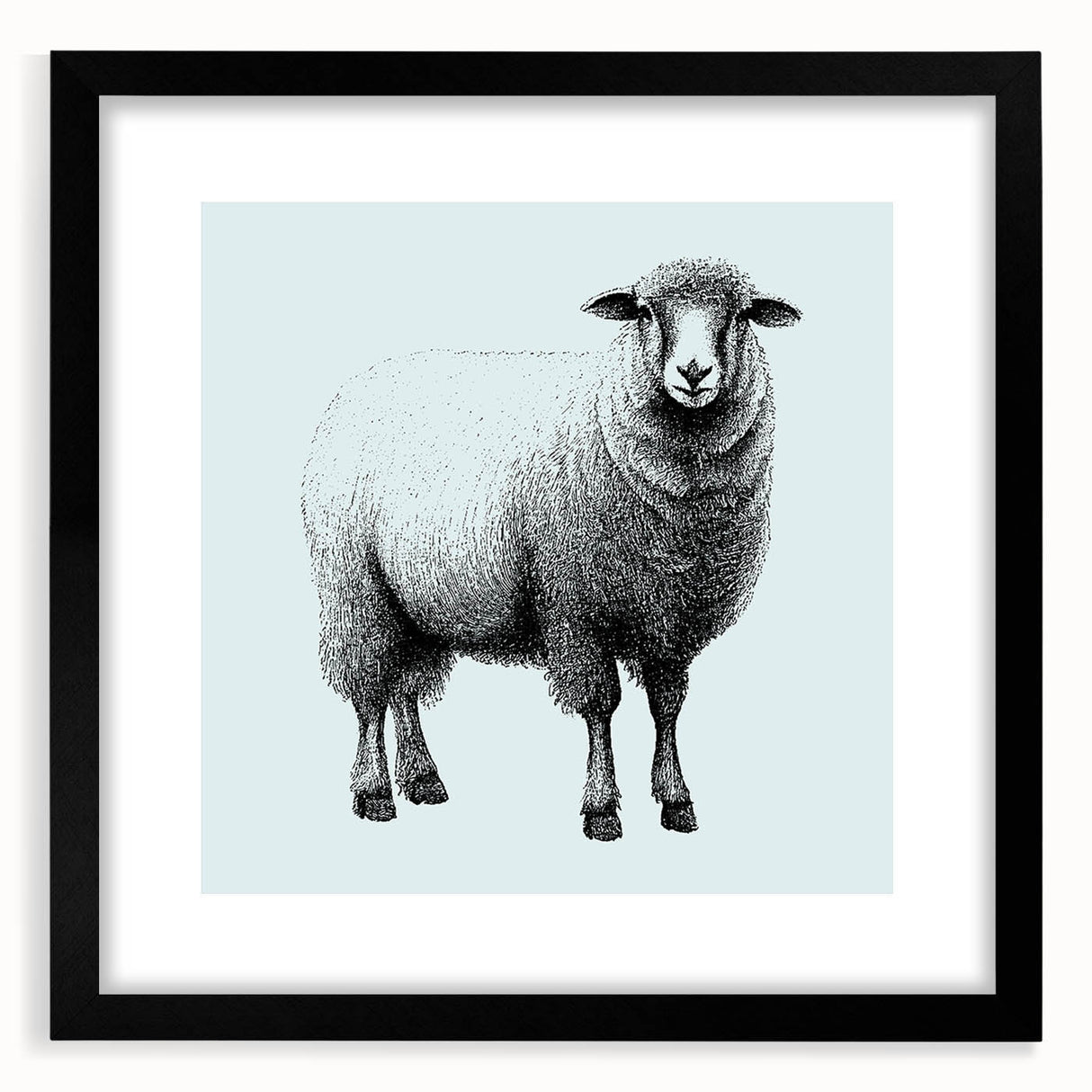 Framed wall art featuring a detailed sheep design from the Animals A Wild Life collection, showcased in a sleek black frame with a white mat, ideal for animal lovers and home decor enthusiasts.