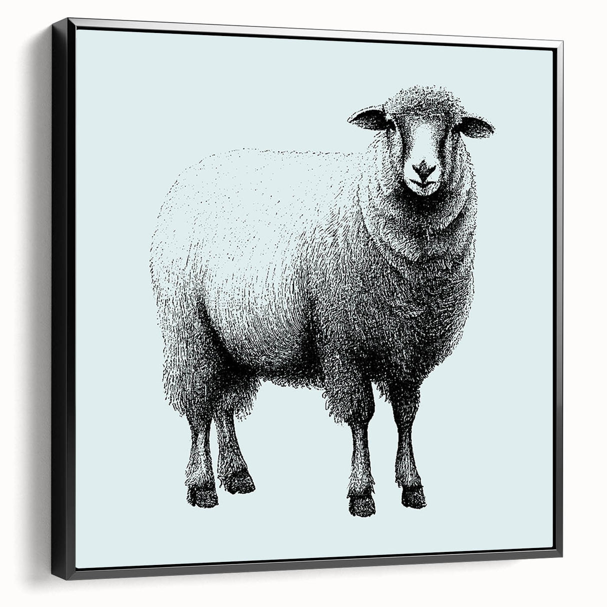 Framed wall art featuring a sheep design from the "Animals A Wild Life" collection, showcasing a black frame and side view, perfect for animal lovers' decor.
