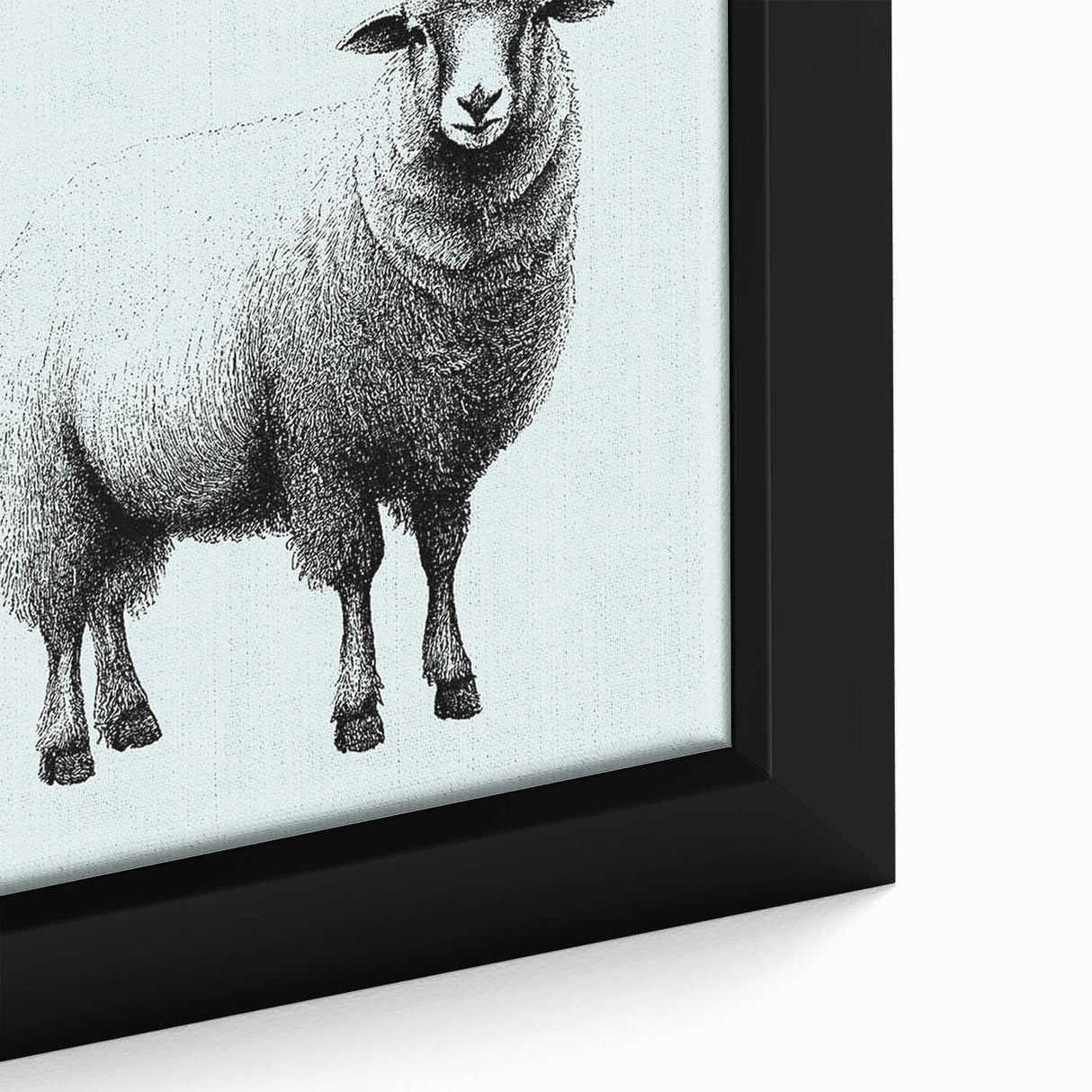 Close-up of a framed canvas wall art featuring a detailed illustration of a sheep in a natural setting, showcasing intricate textures and soft colors, perfect for animal lovers or home decor enthusiasts.
