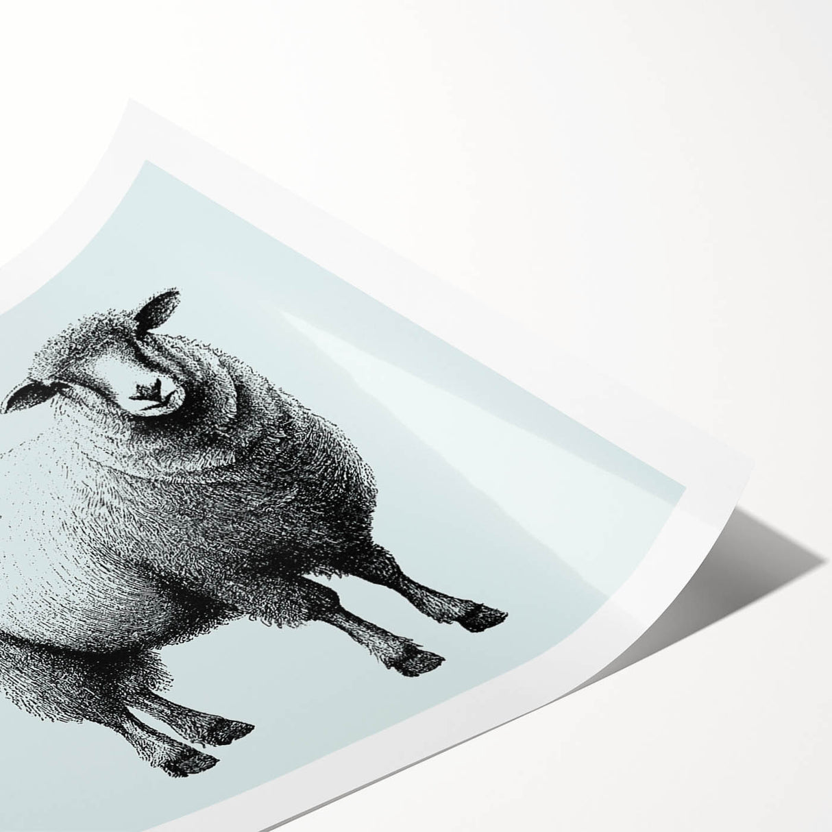 Rolled print showcasing a vibrant sheep design from the 'Animals a Wild Life' collection, featuring intricate details and vivid colors, ideal for home decor.