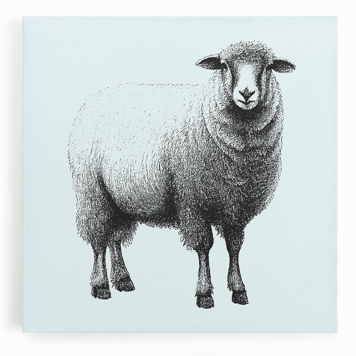 Stretched canvas wall art showcasing a serene sheep design, featuring soft, muted colors and intricate details, perfect for adding a touch of nature to home decor.