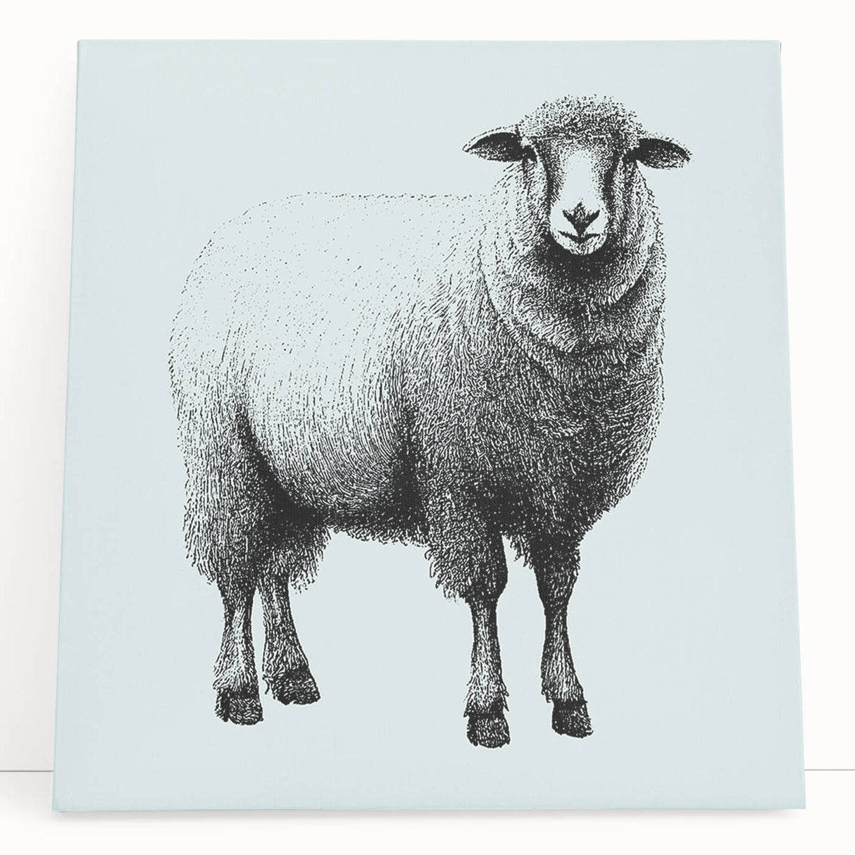 Stretched canvas wall art featuring a vibrant sheep design from the "Animals of the Wild" collection, showcasing detailed textures and natural colors, perfect for home décor.