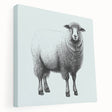 Stretched canvas wall art featuring a whimsical sheep design, showcasing intricate details and vibrant colors, ideal for animal lovers and modern home decor.