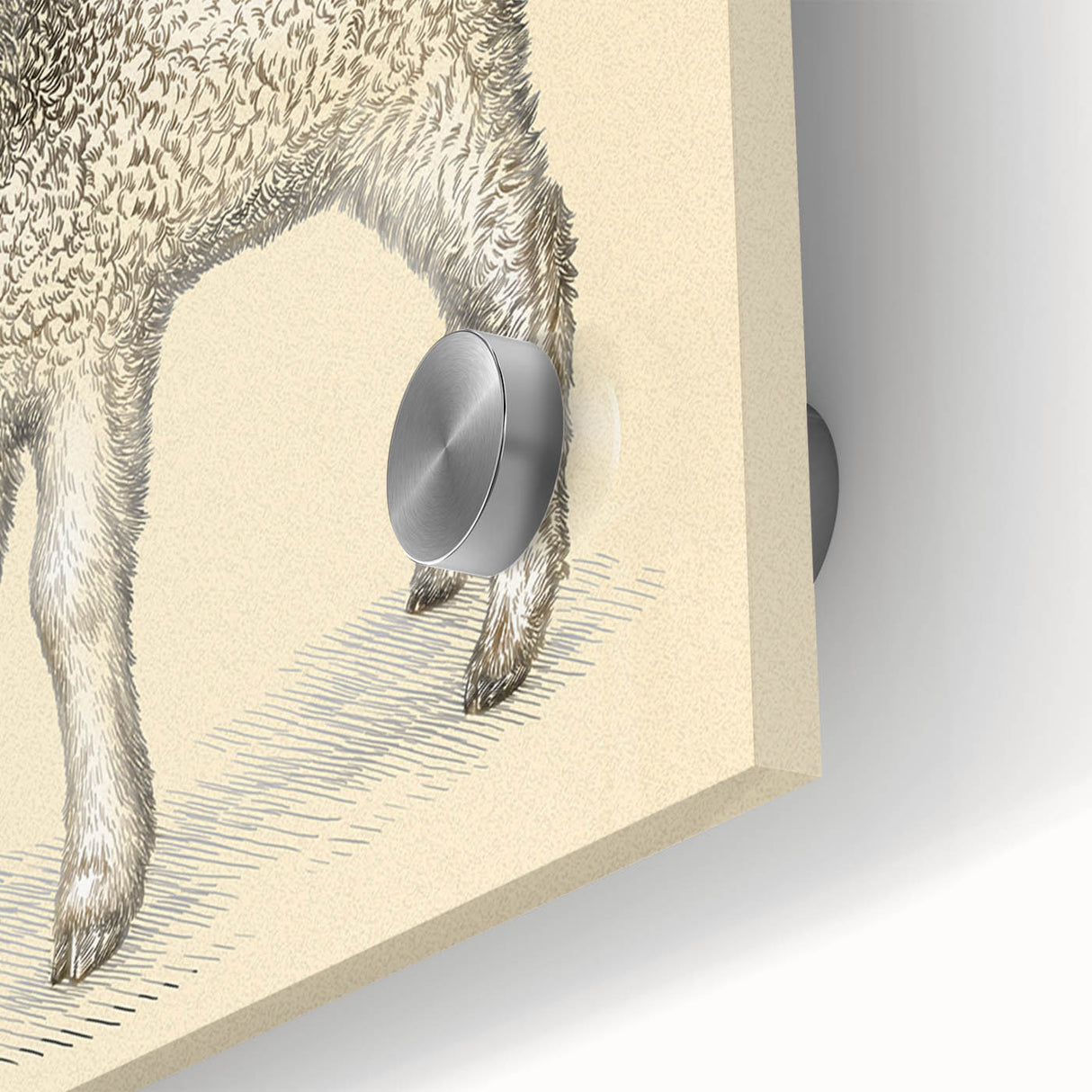 Close-up of a vibrant acrylic glass wall art piece featuring a detailed design of a sheep in a wild setting, showcasing intricate textures and colors that enhance any interior decor.