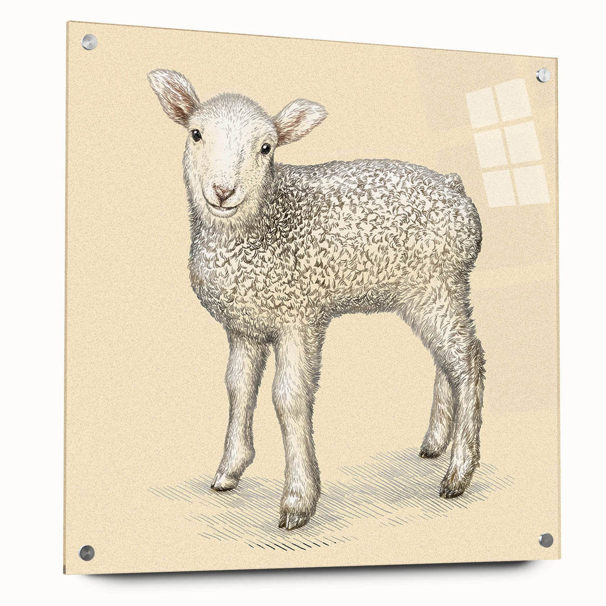 Acrylic glass wall art showcasing a detailed sheep design from a wildlife collection, featuring vibrant colors and a modern side view with pins for easy display.