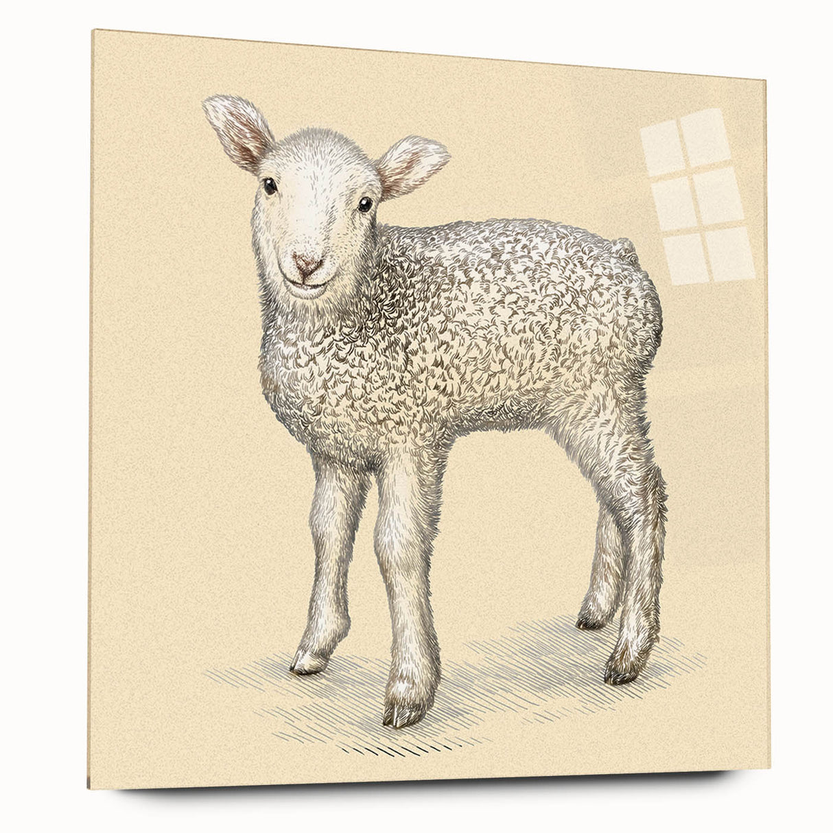 Acrylic wall art collection showcasing a detailed sheep design, presented in a side view format. The artwork features vibrant colors and intricate patterns, ideal for animal lovers and home decor enthusiasts. Perfect for adding a touch of nature-inspired elegance to any interior space.
