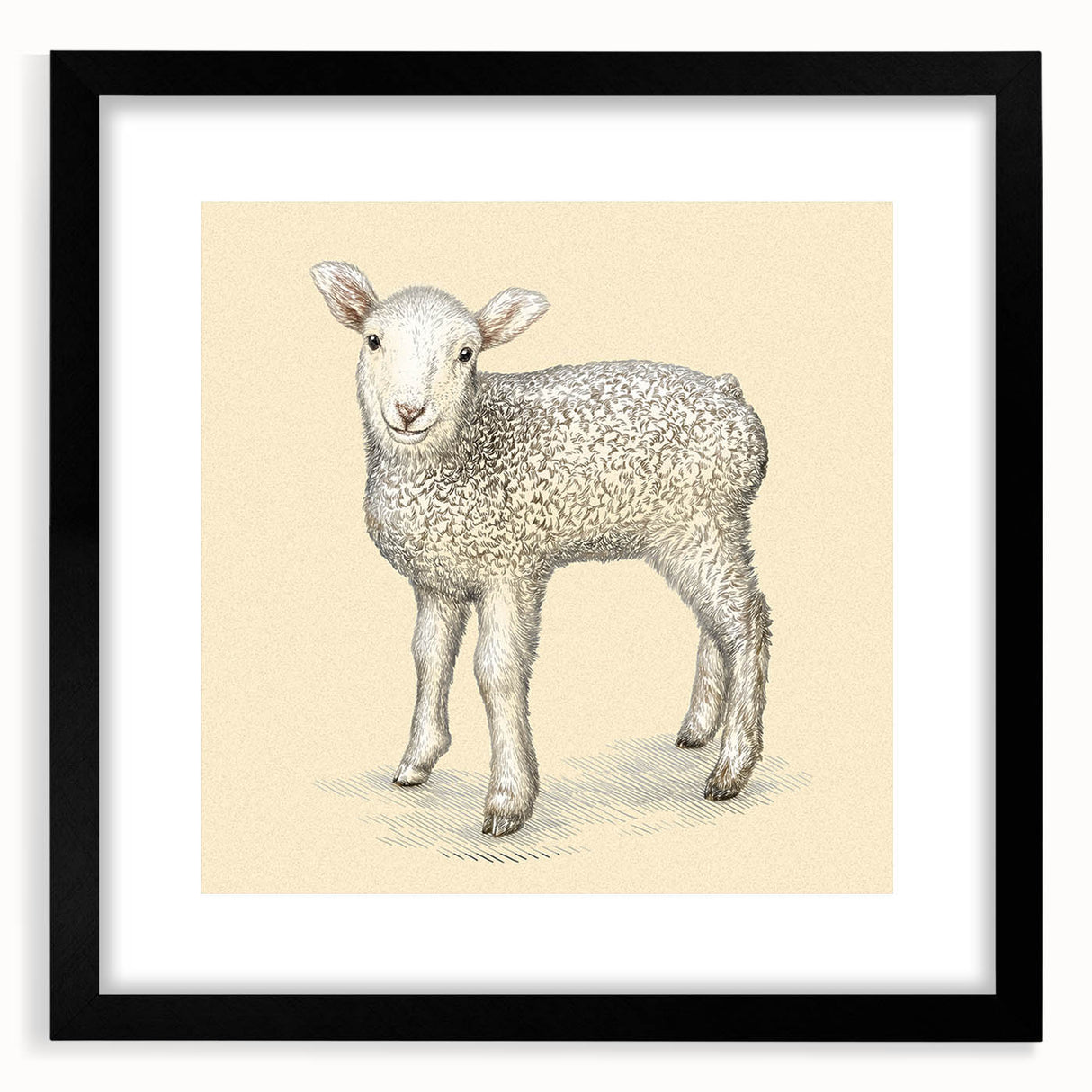 Framed black wall art featuring a sheep design from the "Animals - A Wild Life" collection, showcasing intricate details and textures, ideal for animal lovers and home decor enthusiasts.