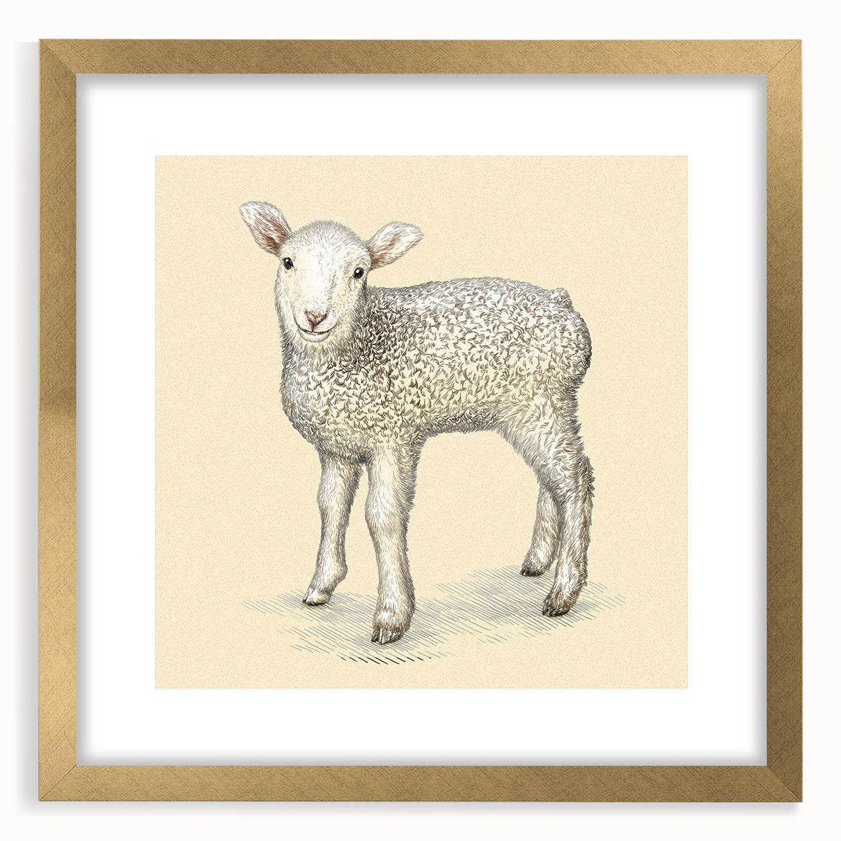 Framed wall art collection featuring a stylish sheep design, set in a gold frame with matting, ideal for enhancing home decor with a touch of wildlife elegance.
