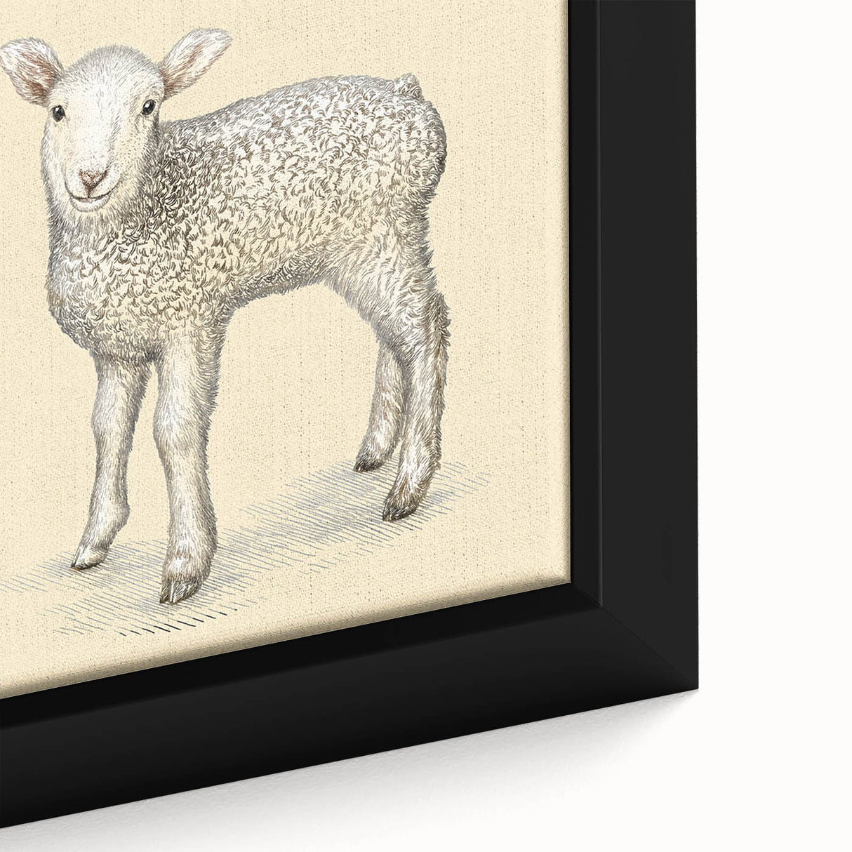 Close-up view of a framed canvas featuring a beautifully detailed sheep design from the "Animals of the Wild" collection, showcasing rich textures and vibrant colors ideal for home decor.