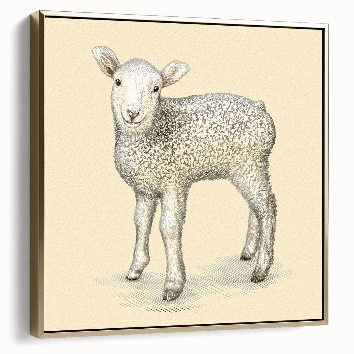 Framed canvas wall art featuring a detailed sheep design in a gold frame, showcasing a side view with intricate textures and vibrant colors, perfect for animal lovers.
