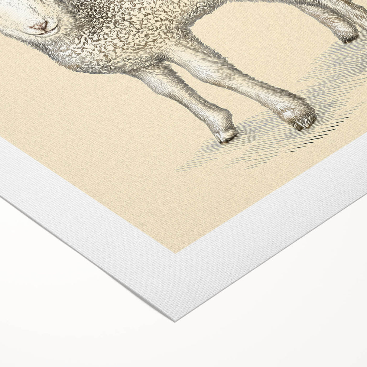 Rolled canvas showcasing a whimsical sheep design from a wildlife art collection, featuring vibrant colors and detailed textures, ideal for home decor.