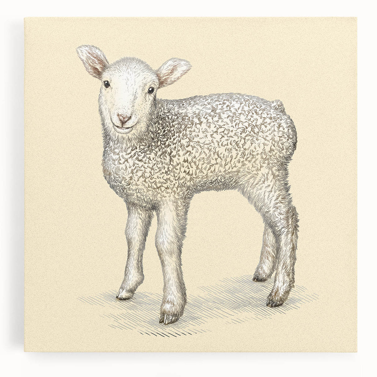 Stretched canvas wall art showcasing a serene sheep design, featuring soft pastel colors and intricate detailing, perfect for adding a tranquil touch to home decor.