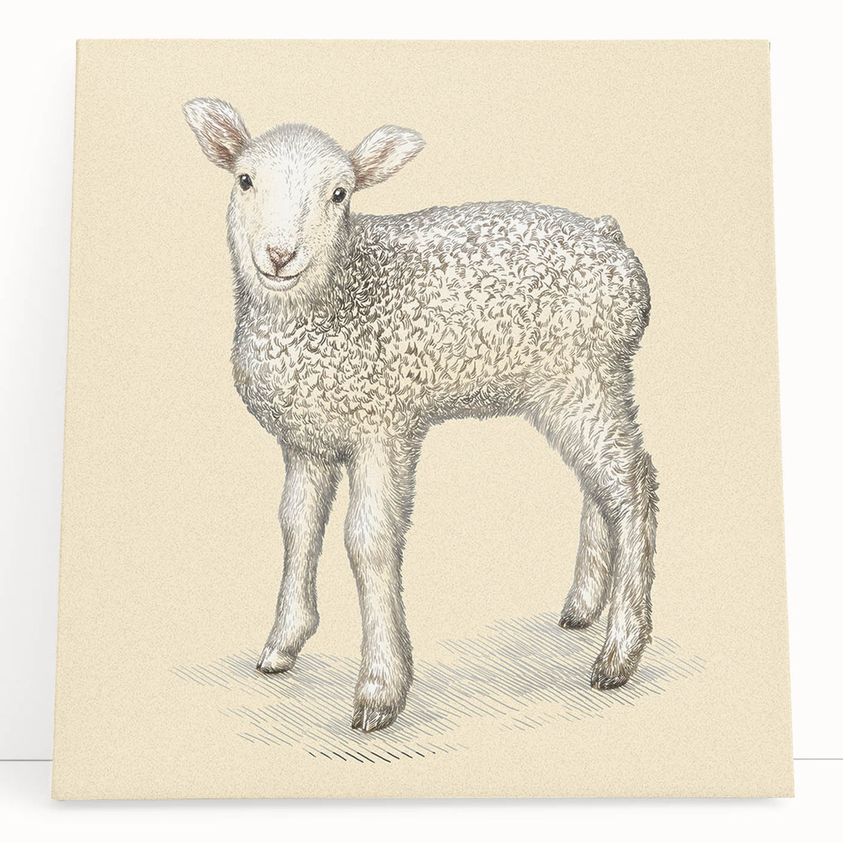Vibrant sheep wall art design on stretched canvas, showcasing a colorful and artistic depiction of sheep in a natural landscape, perfect for home decor.