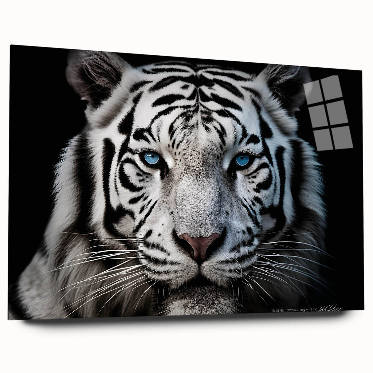 Vibrant wall art showcasing a striking side view of a tiger, printed on acrylic glass, perfect for wildlife enthusiasts and modern decor. The design features rich colors and intricate details, ideal for adding a bold statement to any room.